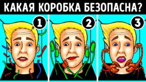 22 zagadki kotorye malo kto mozh