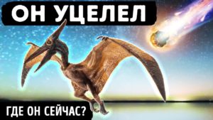asteroid unichtozhil dinozavrov