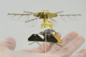 Дрон-насекомое от Toyota «питается» энергией от радиоволн и летает без аккумуляторов (2 фото)