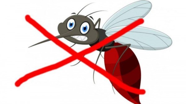 ТОП-10 лучших средств от комаров, как выбрать лучший репеллент