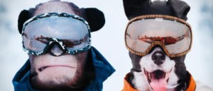 Топ-10 лучших горнолыжных масок, как выбрать хорошую маску для катания полный обзор
