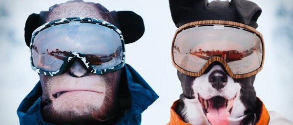 Топ-10 лучших горнолыжных масок, как выбрать хорошую маску для катания
