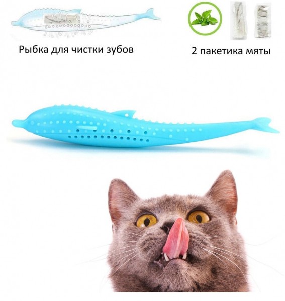 Рейтинг лучших зубных щеток для кошек на 2022 год