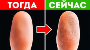 povrezhdennye otpechatki paltsev