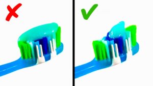 11 osvezhayuschih faktov obo vse