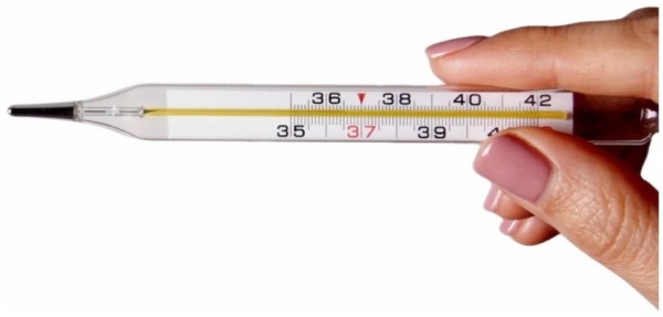 Топ-10 качественных термометров для вашего малыша