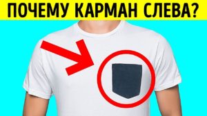 18 maloizvestnyh faktov o povsed