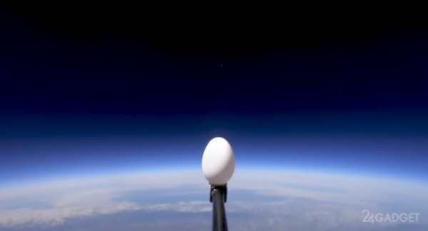 Учёные ради эксперимента сбросили яйцо из космоса (видео)