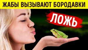 vy ne naberete 17 iz 17 ballov v