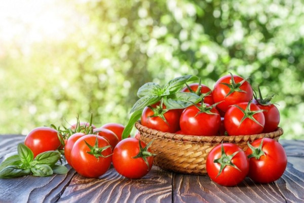 Рейтинг лучших томатов для Подмосковья на 2023 год