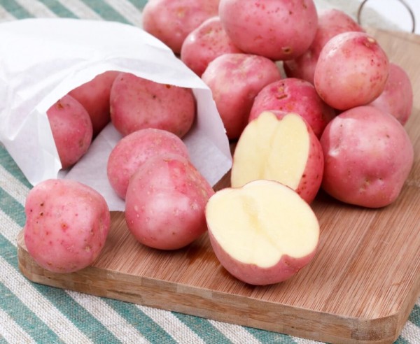 Рейтинг лучших сортов картофеля для Сибири на 2023 год