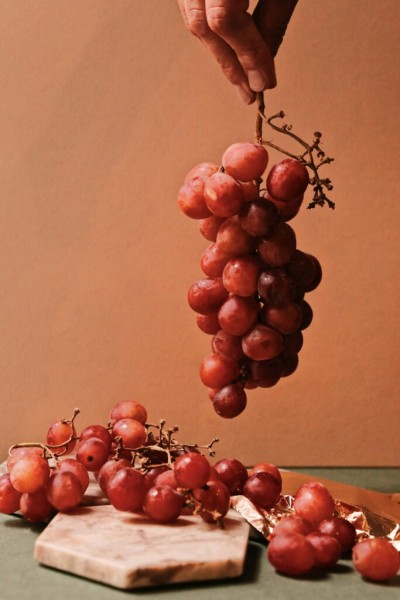 Рейтинг лучших сортов винограда на 2023 год