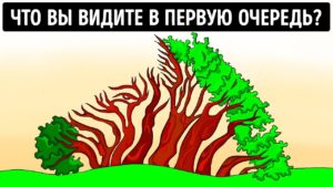 40+ Задачи на оптические иллюзии: Сможете ли вы перехитрить свои собственные глаза?