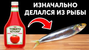 Вкусные случайности, которые сформировали наши любимые блюда
