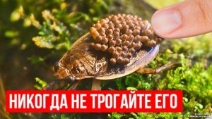 ИНТЕРЕСНОЕ НА САЙТЕ. <br>ТЕМЫ, КОТОРЫЕ ОБЯЗАТЕЛЬНО ЗАИНТЕРЕСУЮТ