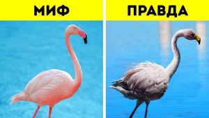 ИНТЕРЕСНОЕ НА САЙТЕ. <br>ТЕМЫ, КОТОРЫЕ ОБЯЗАТЕЛЬНО ЗАИНТЕРЕСУЮТ