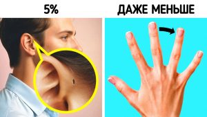 ИНТЕРЕСНОЕ НА САЙТЕ. <br>ТЕМЫ, КОТОРЫЕ ОБЯЗАТЕЛЬНО ЗАИНТЕРЕСУЮТ