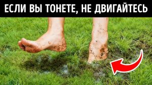 Инстинкты выживания, которые нужно освоить, когда время против вас. Есть ли у людей инстинкты ?