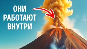 ИНТЕРЕСНОЕ НА САЙТЕ. <br>ТЕМЫ, КОТОРЫЕ ОБЯЗАТЕЛЬНО ЗАИНТЕРЕСУЮТ