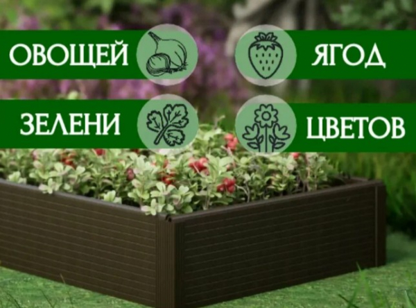 Рейтинг лучших готовых грядок и садовых ограждений для огорода на 2025 год