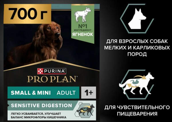 Рейтинг лучших кормов для привередливых собак на 2025 год