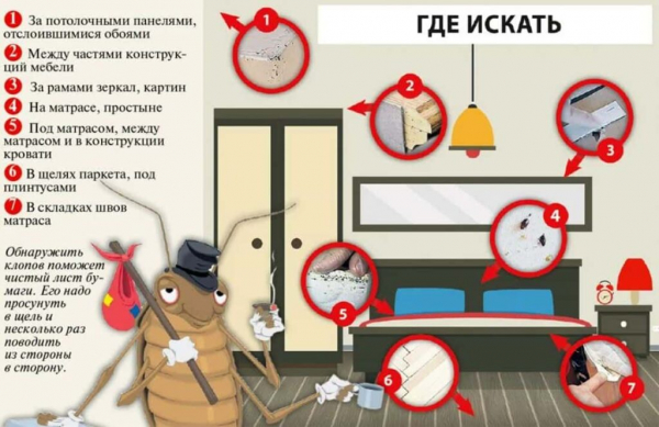Рейтинг лучших служб дезинфекции от клопов и тараканов в Москве на 2025 год