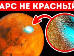 10 nerealnyh veschey kotorye pro