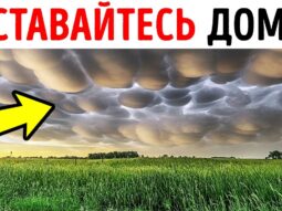 100 sovetov dlya situatsiy kogda