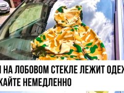11 ulovok kotorye mogut ispolzov