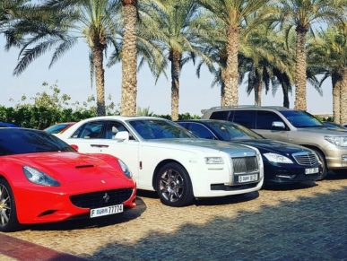 {{brizy_dc_image_alt entityId=