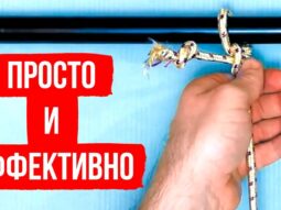 12 ochen poleznyh uzlov kotorye