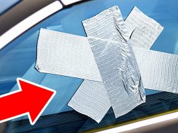 Главная страница, интернет-копилка, продукты Здоровья и Красоты, Jeunesse