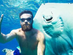 14 Морских обитателей: восхитительные встречи и нежелательные сюрпризы!