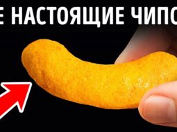 14 s kotorye vydayut sebya za to