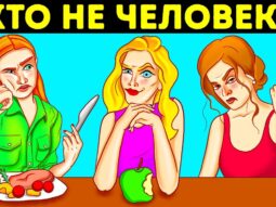 16 zagadok dlya proverki vnimani 16 zagadok dlya proverki vnimani