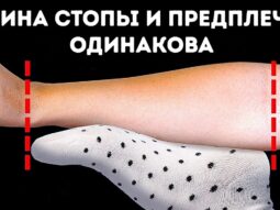 20+ странных фактов о теле, которые заставят вас почувствовать себя супергероем