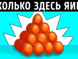 23 загадки для проверки вашего визуального интеллекта