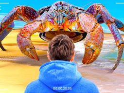 {{brizy_dc_image_alt entityId=