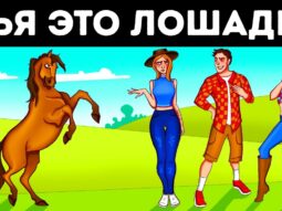 25 загадок для тренировки детективных навыков