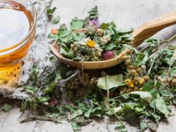 {{brizy_dc_image_alt entityId=