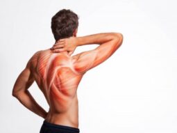 2ba57623ea6ca0031801918538210034 {{brizy_dc_image_alt entityId=