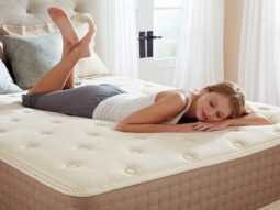 {{brizy_dc_image_alt entityId=