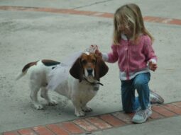 3d1d4a76b8b6b5c56fe6d6e1d2bf23b9