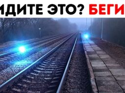 40+ навыков выживания, которые помогут справиться с любой ситуацией