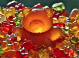 {{brizy_dc_image_alt entityId=