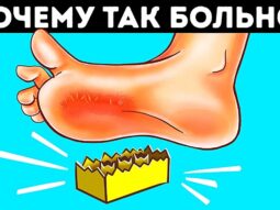 50+ случайных фактов для расширения кругозора 50+ случайных фактов для расширения кругозора