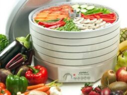 590afd8b773c3ca7d4ba16f90fefe88f {{brizy_dc_image_alt entityId=