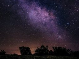 {{brizy_dc_image_alt entityId=