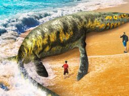 70+ необычных морских существ, которых вы будете бояться больше, чем акул