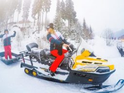 {{brizy_dc_image_alt entityId=